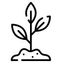 Soins de plantes (émondage) et d’espèces ornementales